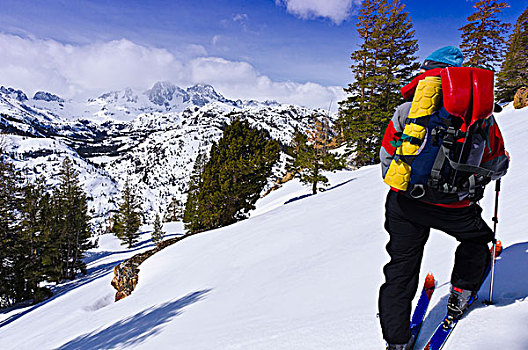 边远地区,滑雪,旗帜,顶峰,亚当斯,荒野,内华达山脉,加利福尼亚,美国