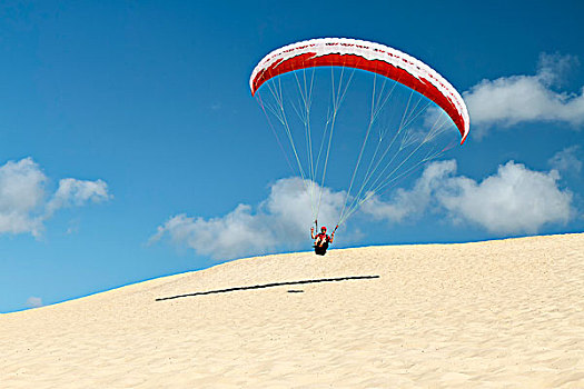 滑翔伞,海岸,沙丘,匹拉沙丘地区,阿基坦,法国南部,法国,欧洲