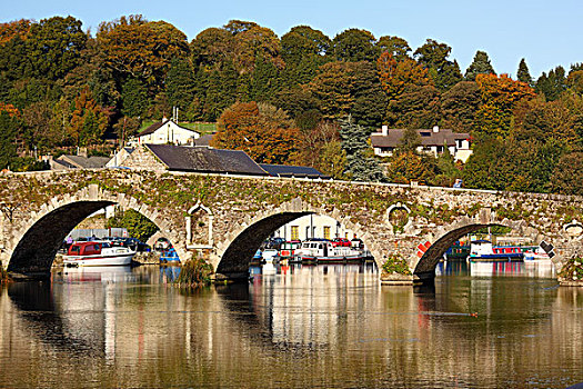 石桥,上方,河,手推车,基尔肯尼郡,爱尔兰
