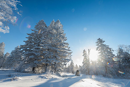 冬季长白山的雪地和雾凇