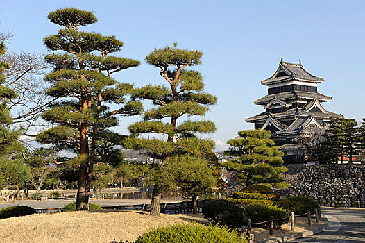 日本,本州,松本城