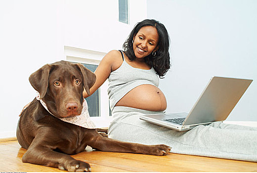 孕妇,狗,在家,使用笔记本,电脑