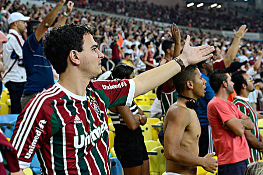 足球,支持者,体育场,里约热内卢,巴西,南美