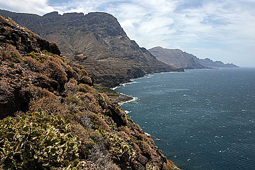 悬崖,峻岸,西北地区,大卡纳利岛,加纳利群岛,西班牙,欧洲