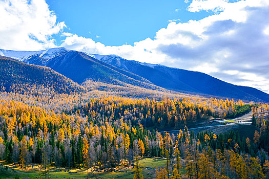 西北第一村白哈巴村盛景