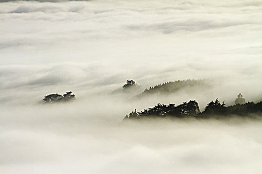雾,上方,奥塔哥,港口,南岛,新西兰