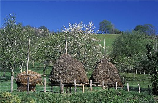 法国,阿基坦