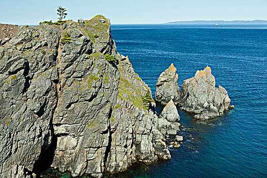 岩石,海岬,靠近,小湾,纽芬兰,加拿大