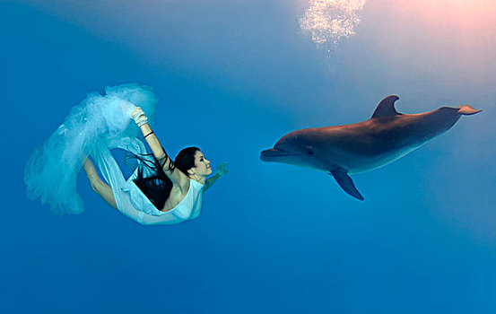 女人,游动,跳水,宽吻海豚