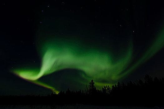 螺旋,北方,极光,北极光,绿色,靠近,育空地区,加拿大,北美