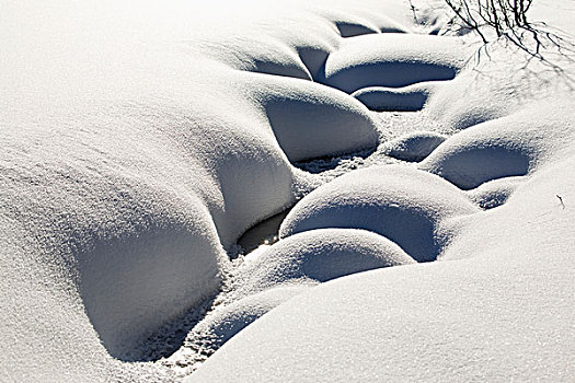 积雪,溪流,堤岸,路易斯湖,艾伯塔省,加拿大