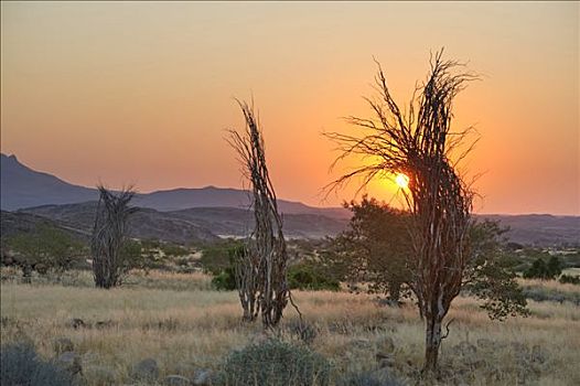 日落,西部,山,纳米比亚,非洲