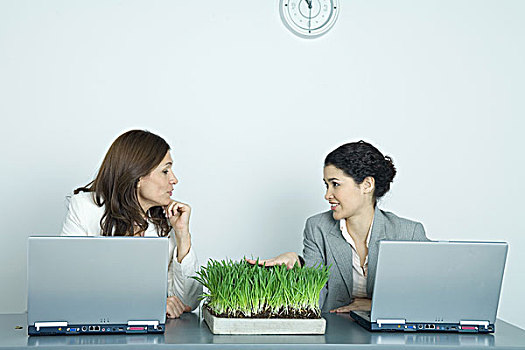 两个,职业女性,坐,笔记本电脑,一个,接触,托盘,芽草