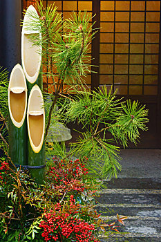 门松,日本,新年,松树,装饰