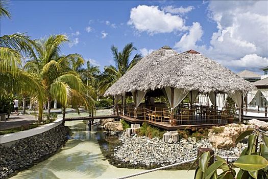 酒吧,围绕,水,半岛,酒店,瓦拉德罗,古巴,加勒比海,北美