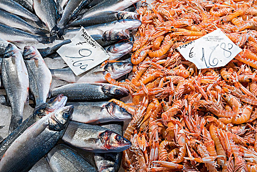 鱼肉,销售,鱼市,靠近,威尼斯,威尼托,意大利