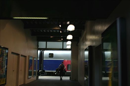 图像,巴黎,里昂火车站,列车
