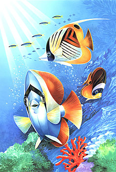 热带鱼插图