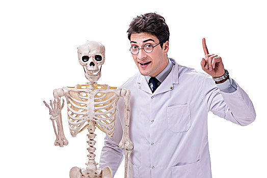 年轻,博士,骨骼,隔绝,白色背景