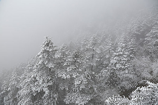 成都西岭雪山