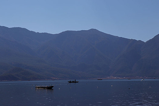 湖面,孤舟,海鸥