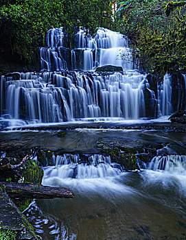 新西兰南岛雨林瀑布