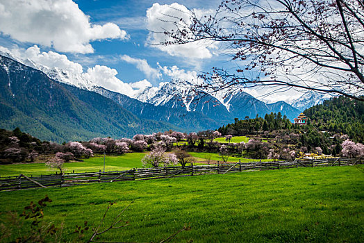 西藏自治区林芝地区风景风光