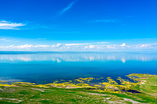 青海湖湖水和岸边草原夏季航拍图