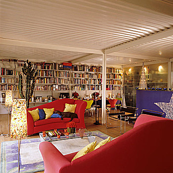 红色,沙发,满,书架,喜庆,装饰,波纹板,金属,天花板