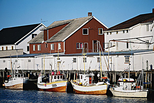 挪威,岛屿,渔村,港口,大幅,尺寸