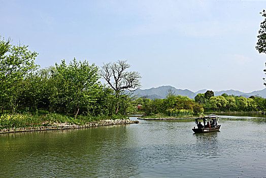 春天的杭州西溪湿地