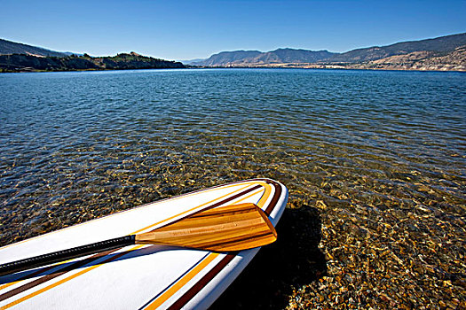 站立,船桨,冲浪板,湖,潘提顿,不列颠哥伦比亚省,加拿大