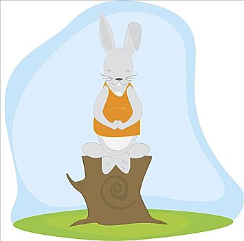 兔子,冥想,树桩