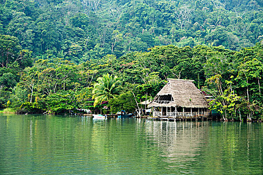 危地马拉,国家公园,可爱,河,加勒比海,湖,特色,河边,风景,大幅,尺寸