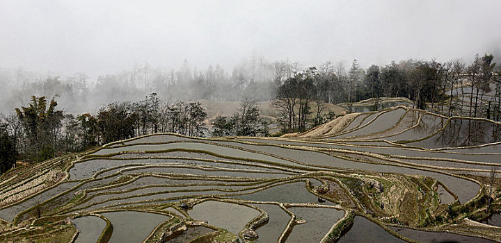 云南红河州元阳梯田自然景观