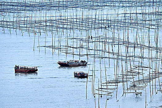 福建霞浦