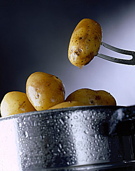 蒸制,土豆