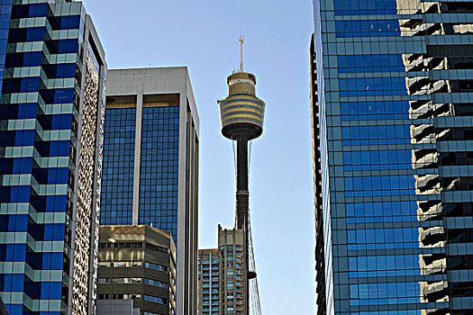 风景,桥,悉尼,塔,高层建筑,建筑,中心,商务,地区,新南威尔士,澳大利亚
