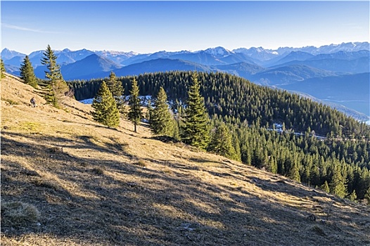 风景,巴伐利亚,阿尔卑斯山