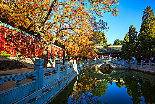 寺院,水池,秋色