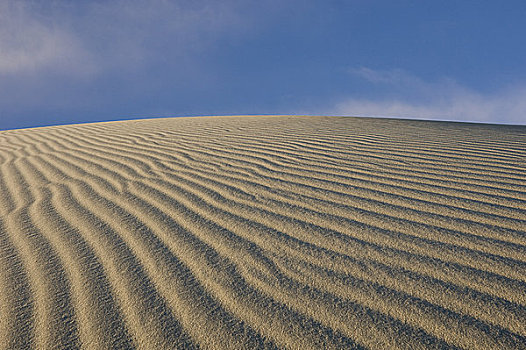 马斯奎特沙丘,死谷,加利福尼亚,美国