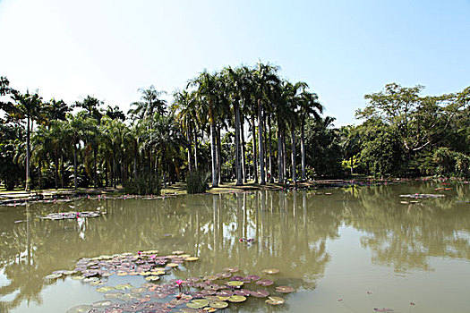 中科院西双版纳热带植物园