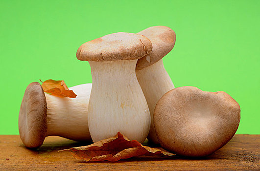 法国,蘑菇
