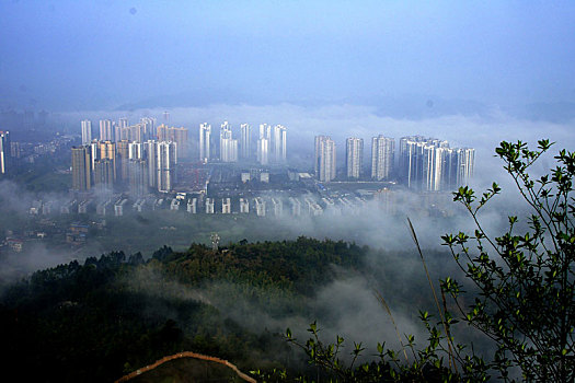 璧山,璧城,景观