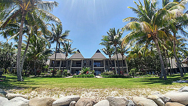 酒店,复杂,海洋,围绕,棕榈树,斐济