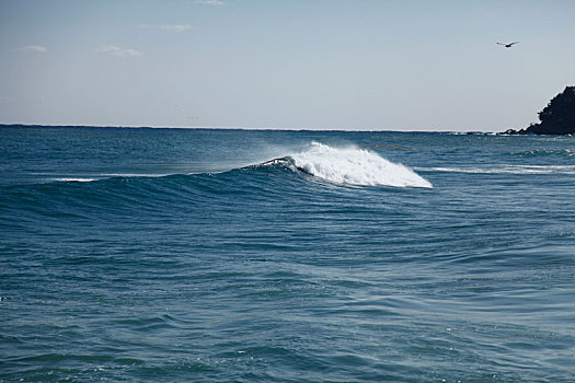 海浪