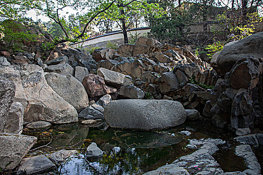 泰山景区