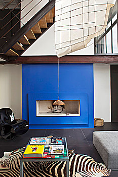 蓝色,壁炉,斑马纹,地毯,专注,现代生活,房间