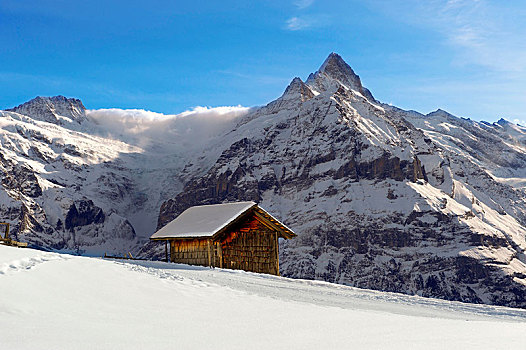 山,木房子,冬天,正面,贝塔峰,格林德威尔,阿尔卑斯山,瑞士,欧洲