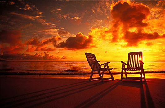沙滩椅,海岸线,黎明,惊奇,日落